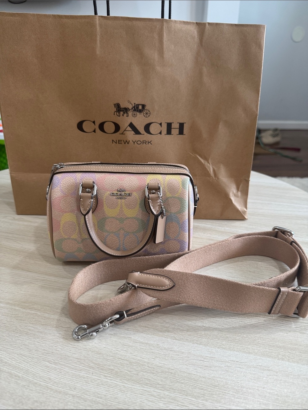 Mini Rowan Crossbody Bag In Rainbow Signature Canvas